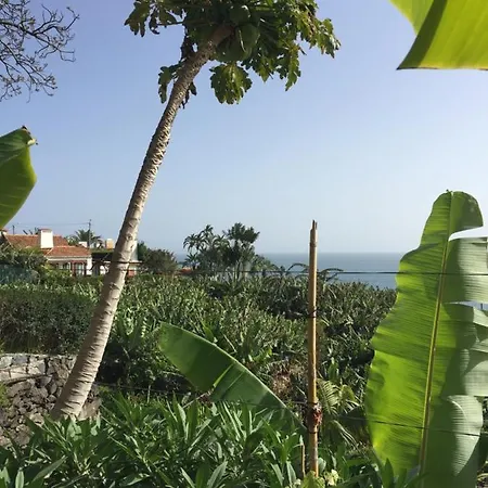 Mango House Arco da Calheta (Madeira)