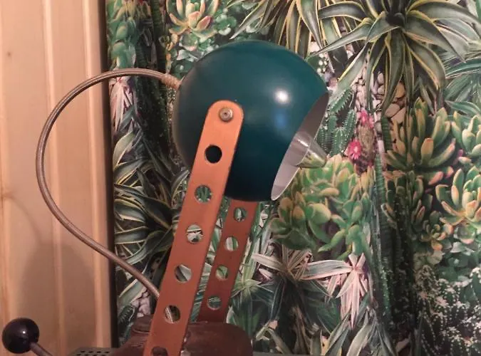 Mango House 别墅 阿科达卡列塔