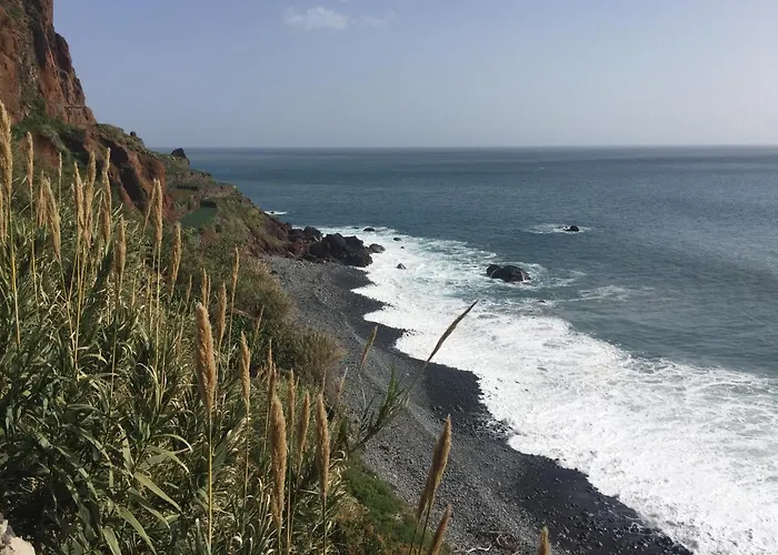 别墅 Mango House *