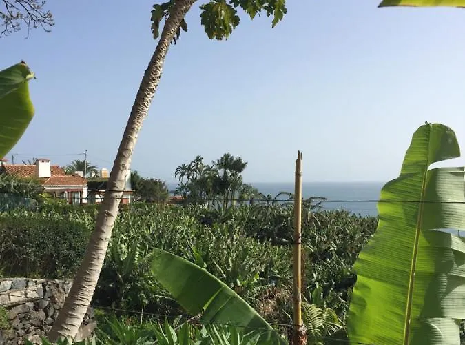 Mango House 阿科达卡列塔