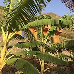 Mango House Arco da Calheta